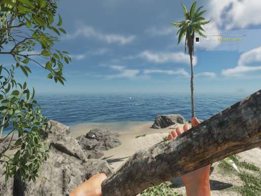 Stranded Deep - Image 8