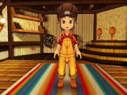 The Story of Seasons: Trio of Towns - Image 1