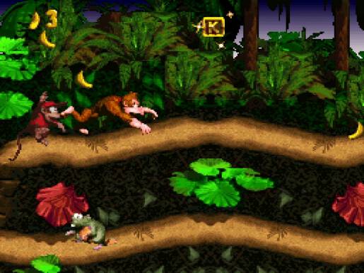 Donkey Kong Country - Image 2