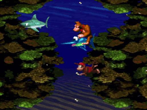 Donkey Kong Country - Image 4