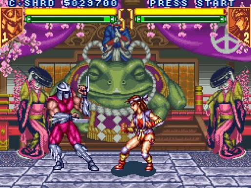 Teenage Mutant Ninja Turtles: Tournament Fighters - Image 2