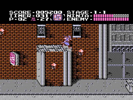 Ninja Gaiden - Image 3