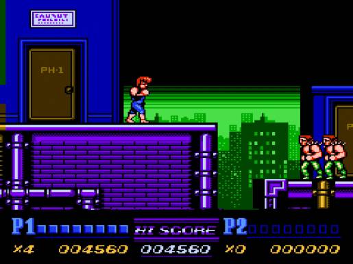 Double Dragon II: The Revenge - Image 1