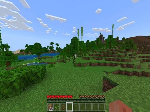 Minecraft - Image 4