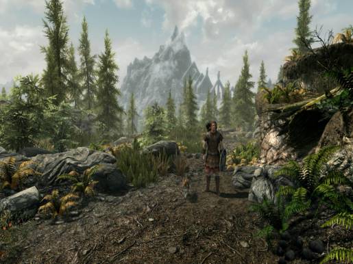 The Elder Scrolls V: Skyrim - Image 2