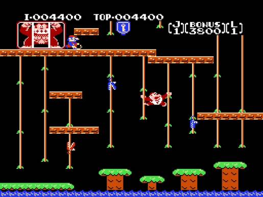 Donkey Kong Jr. - Image 4