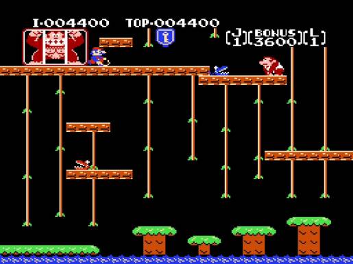 Donkey Kong Jr. - Image 3