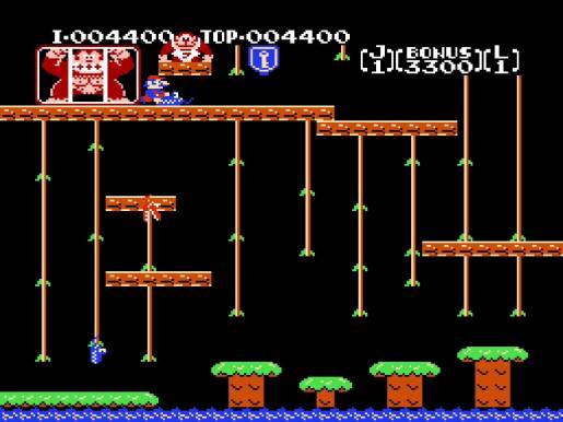 Donkey Kong Jr. - Image 2