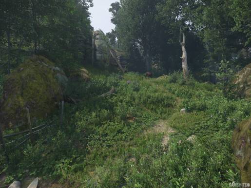 Kingdom Come: Deliverance II - Image 4
