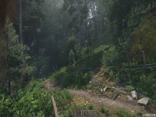 Kingdom Come: Deliverance II - Image 3