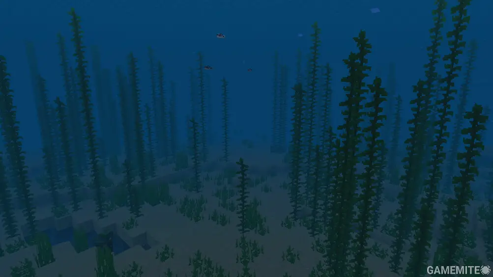 Minecraft Aquatic Biome