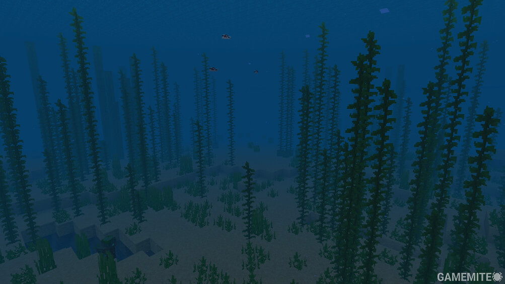 Minecraft Aquatic Biome