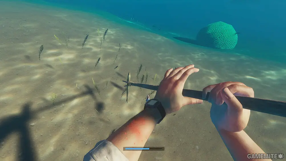 stranded-deep-catch-fish