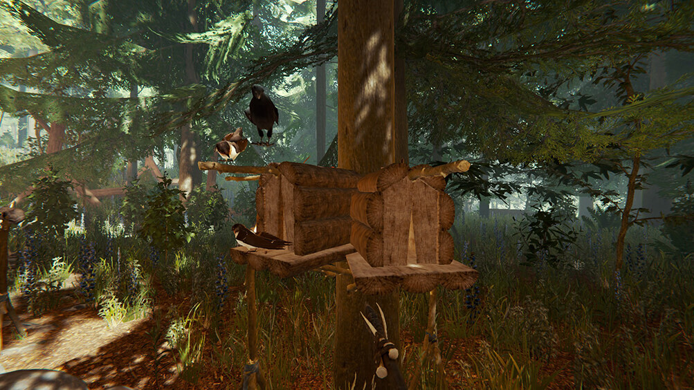 the-forest-birdhouse